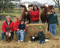 Dirt-Road Holsteins