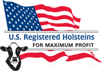 holstein usa