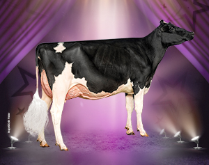 Star of the Breed Budjon-Vail Drm Sunshine-ET