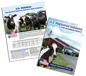 US Holsteins Breed of Choice