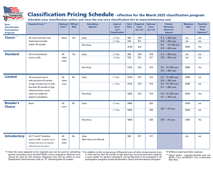 Classification Pricing Schedule