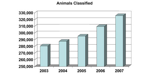 Animals Classified