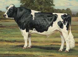 Modern Ideal Holstein Cow