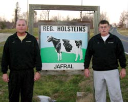 Jafral Holsteins