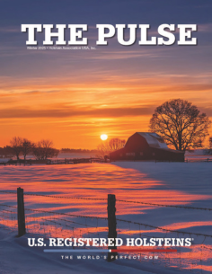 Holstein Pulse