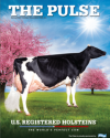Holstein Pulse: Fall 2023