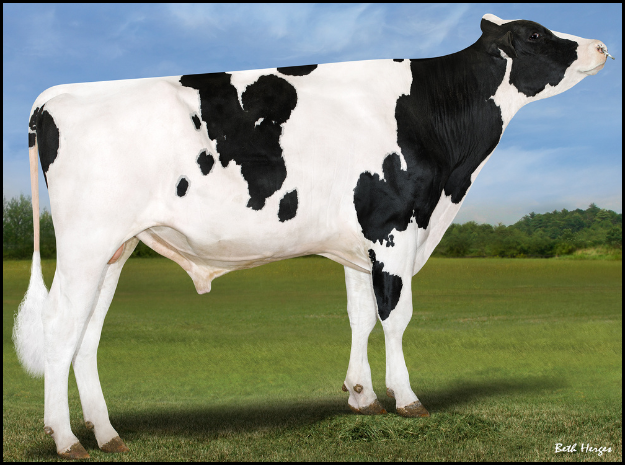 Jitter's 4th Dam: RI-VAL DELTA CINI-RED-ET EX 90