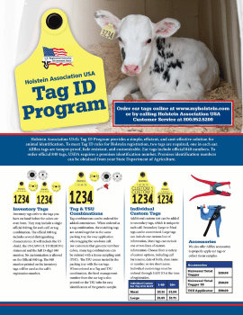 tag brochure